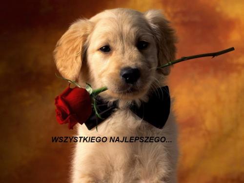 Wszystkiego najlepszego