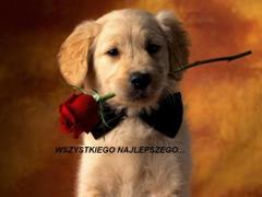 Wszystkiego najlepszego