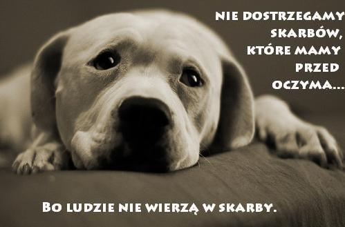 Nie dostrzegamy skarbów...