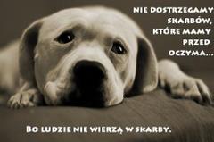 Nie dostrzegamy skarbów...