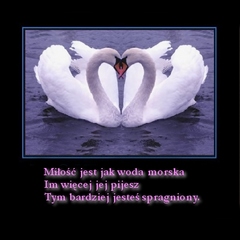 Miłość jest jak woda morska...
