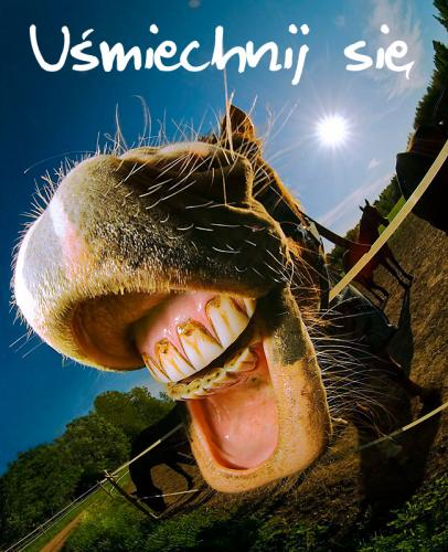 Uśmiechnij się