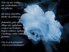 Gdy Cię nie widzę...