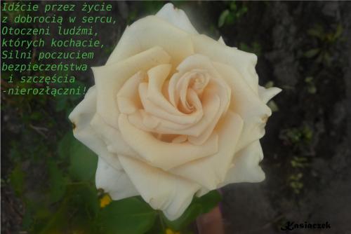 Idźcie przez życie...