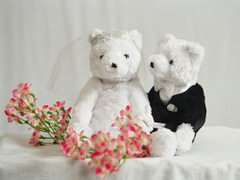 Miśki - para młoda