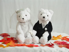 Miśki - para młoda