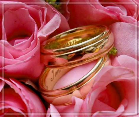 Obrączki wśród róż