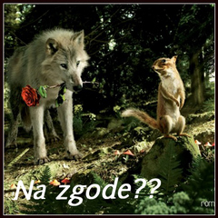 Na zgodę ?