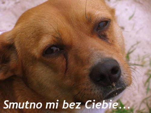 Smutno mi bez Ciebie...