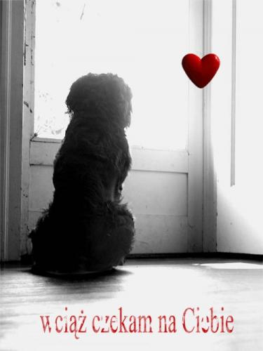 Wciąż czekam na Ciebie