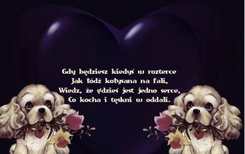 Gdy będziesz kiedyś w rozterce...