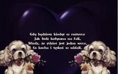 Gdy będziesz kiedyś w rozterce...