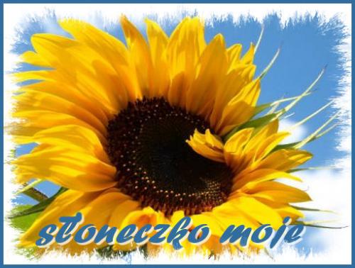 Słoneczko moje !