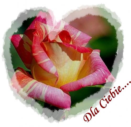 Dla Ciebie...
