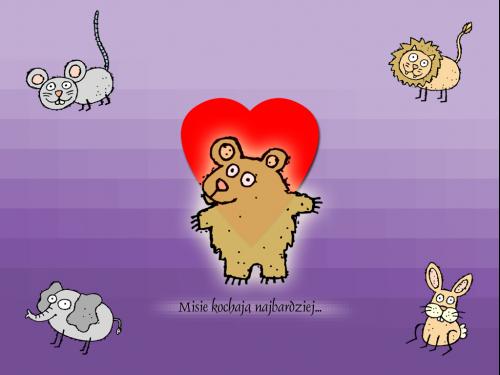 Misie kochają najbardziej