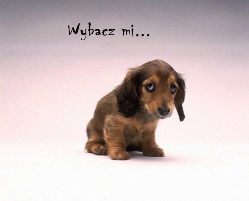Wybacz mi...