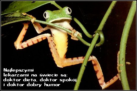 Najlepszymi lekarzami na świecie...