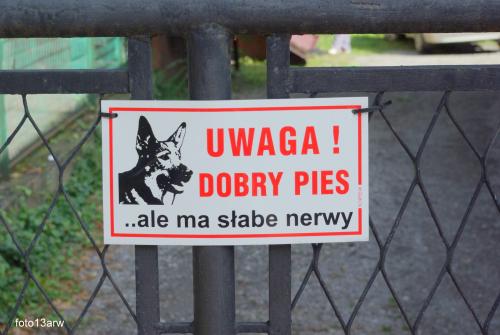 Uwaga dobry pies