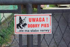 Uwaga dobry pies