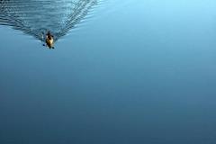 Zaproszenie na kajaki