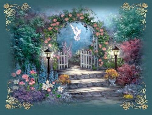 Zapraszam na działkę